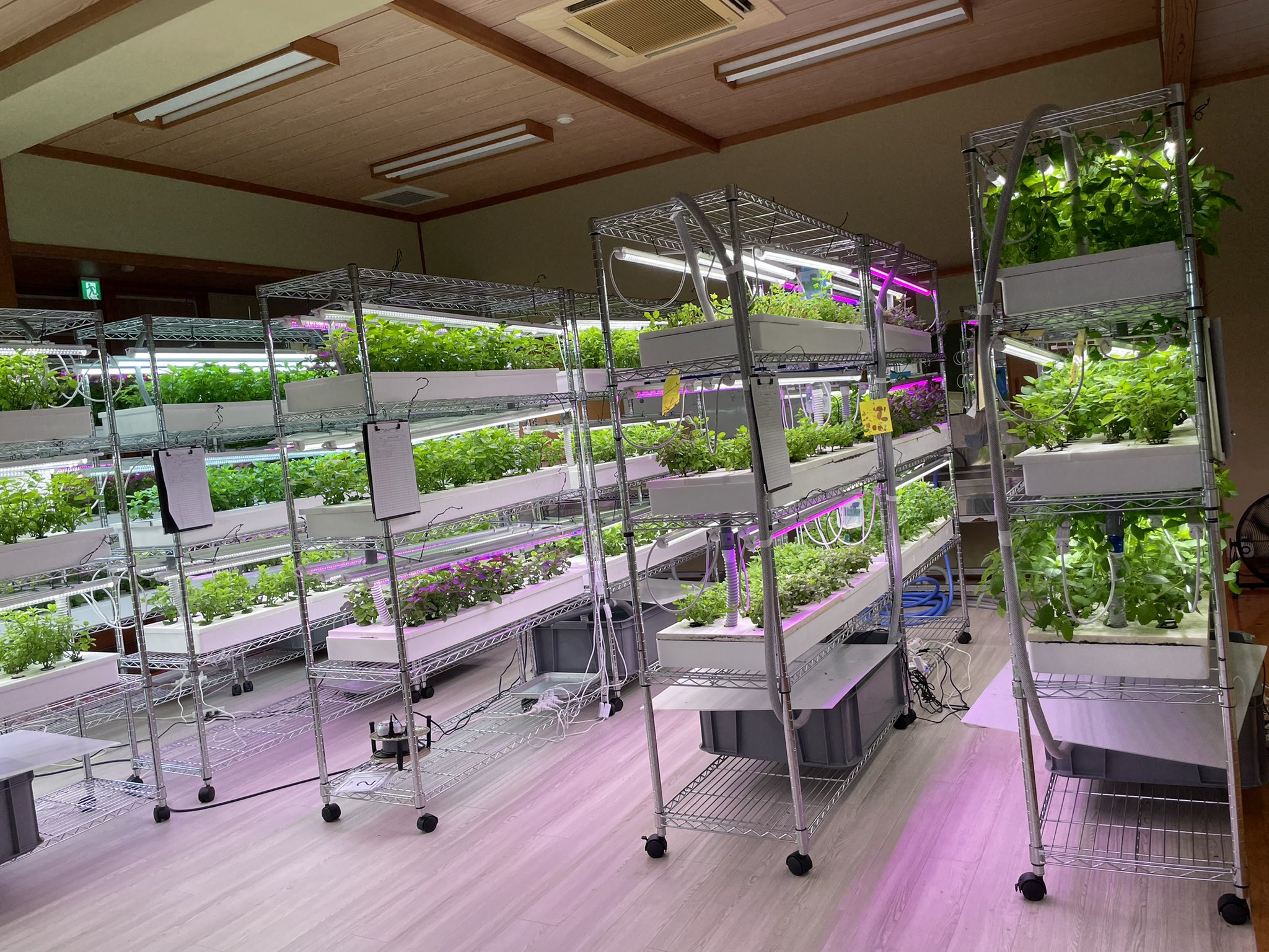 未来農業ラボ895