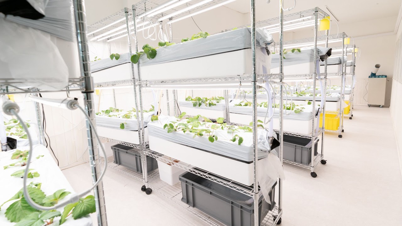 未来農業ラボ清川