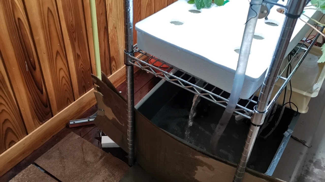 室内農園の構築例 - ユニット設置の様子