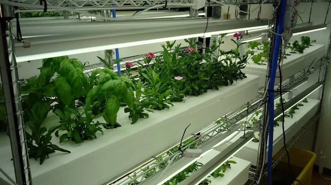 一般社団法人レモンとライム様の施工事例