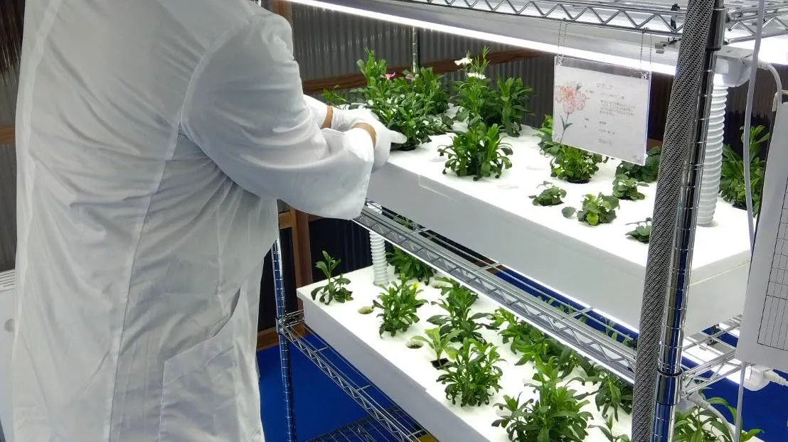 株式会社ライフソリューション様の施工事例