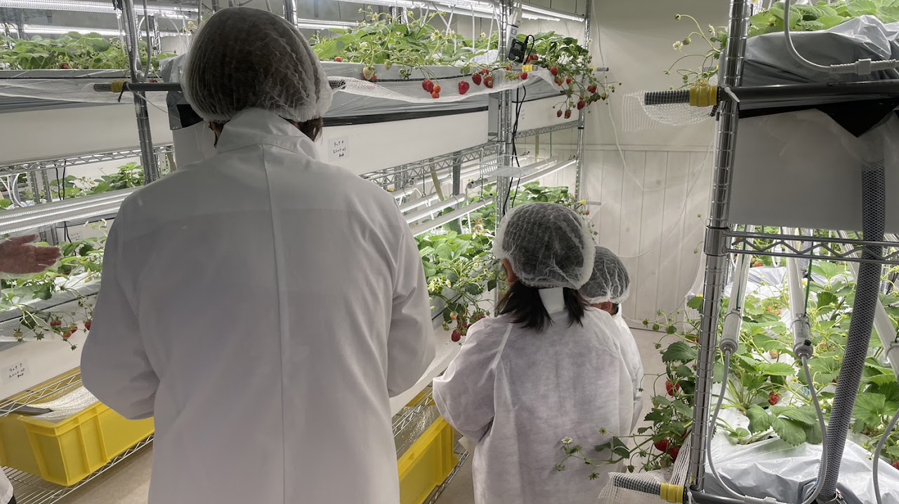 農園見学の様子