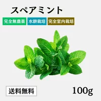 スペアミント