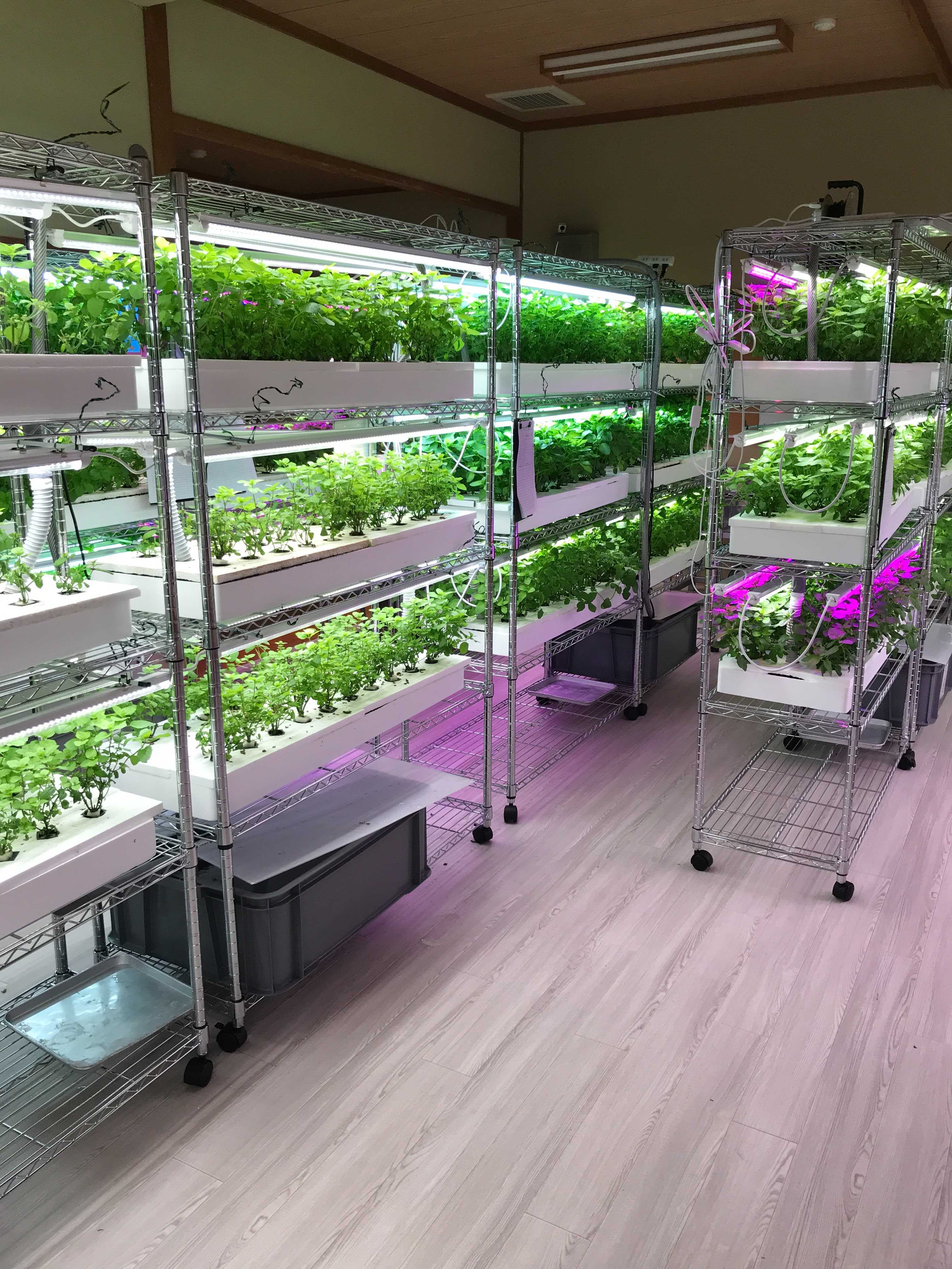 水耕栽培ユニット